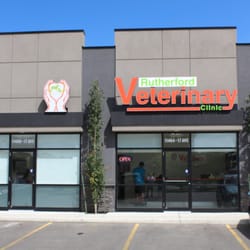 Rutherford Veterinary Clinic - Full Services Veterinary Hospital