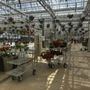 Photo of Woldhuis Farms Sunrise Greenhouse