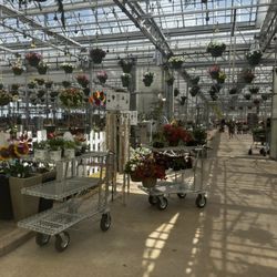 Woldhuis Farms Sunrise Greenhouse