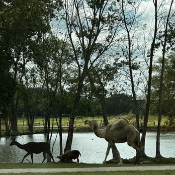 Aikman Wildlife Adventure - Parks Near Me - Arcola, Illinois Aikman Wildlife Adventure - Parks Near Me - Arcola, Illinois