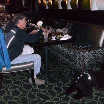 Dogs LTD. & Training - Service Dog Training for Clients with Mobility Disabilities - Pet Training Near Me - Bend, Oregon Dogs LTD. & Training - Service Dog Training for Clients with Mobility Disabilities - Pet Training Near Me - Bend, Oregon