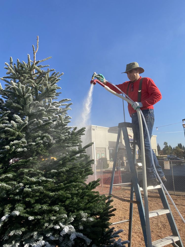 BRUCE’S CHRISTMAS TREES FRESNO Updated August 2024 780 East Nees