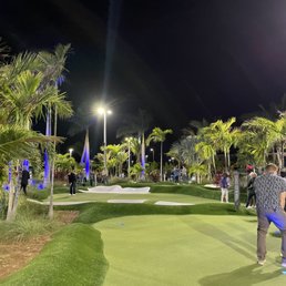 people playing golf at night