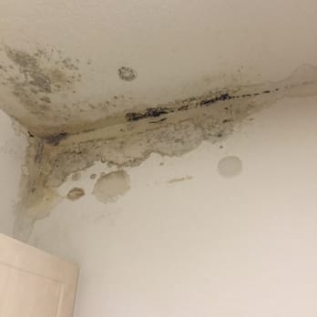 Terrible Leak In My Kitchen Ceiling From Unit Above Me Mildew