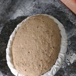 Levain - Massa do pão alemão já crescida, pronta para moldar - Curso de "Pães caseiros com fermento natural"