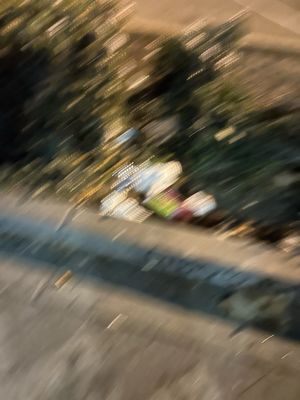 Greyhound Shop by null