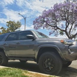 Freshly washed Freshly washed