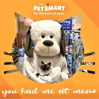 PetSmart - Coco Puff posing with Petsmart's mascot - Pet Training Near Me - Miami, Florida