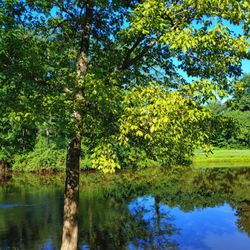 Clepper Park - Vire from the peninsula