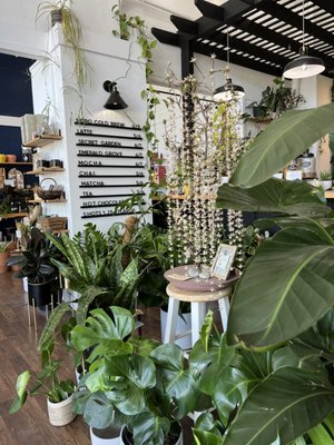 Greenhouse Coffee + Plants by null