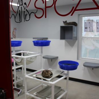 Brandywine Valley SPCA - Animal Shelters Near Me - Dover, Delaware