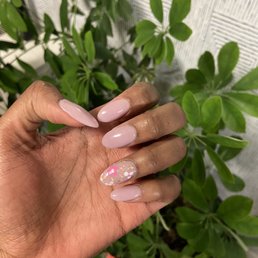 Dip Powder Nails with Nail Design Dip Powder Nails with Nail Design