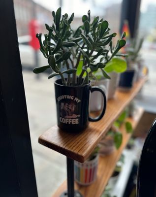 Solid Ground Cafe by null