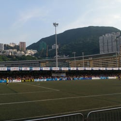 香港足球會 - The pitch