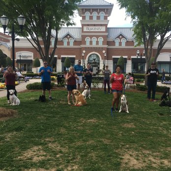 Off Leash Dog Training - #trainasyoulive - Pet Training Near Me - Charlotte, North Carolina