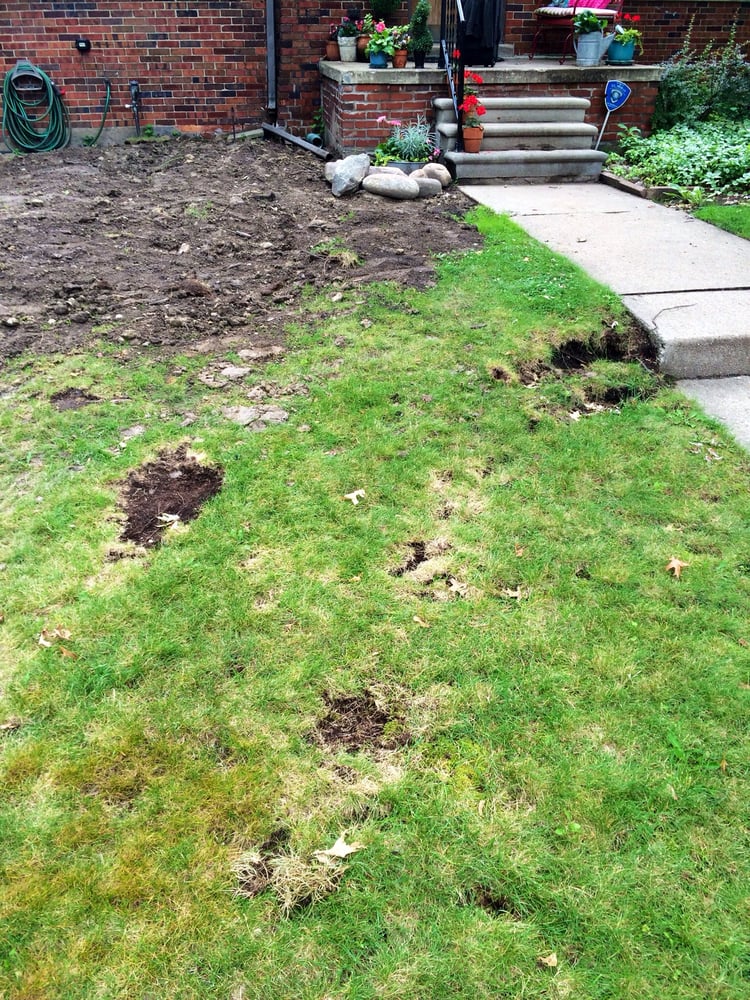 Slide of Perfect Plumbing Sewer & Drain