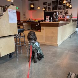 The Record Pub