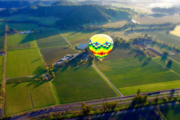 Napa Valley Aloft Hot Air Balloon Rides by null