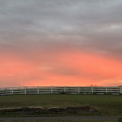 Bida’s Italian - Sunset