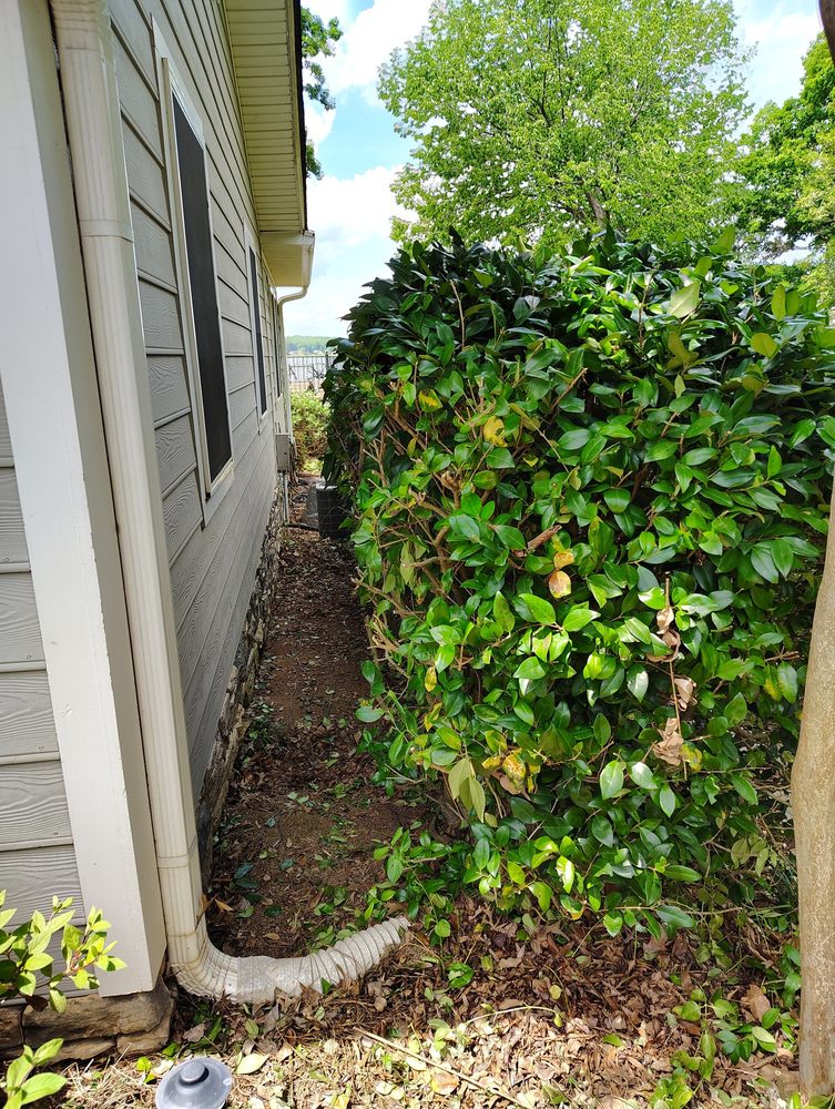 B&G Tree Services and Pressure Washing - tree service in Asheboro, NC