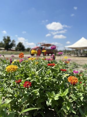 Sweet Eats Adventure Farm & Petting Zoo by null