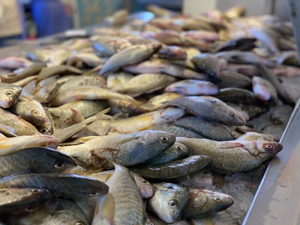 MURRAY L. NIXON FISHERY Updated September 2024 1141 Nixon Fishery Rd, Edenton, North