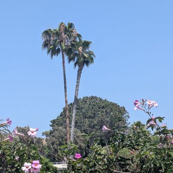 Coastal Rail Trail - Parks Near Me - Solana Beach, California Coastal Rail Trail - Parks Near Me - Solana Beach, California