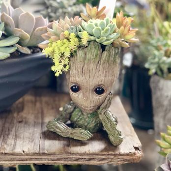 Ann Arbor Farmers Market - This is so Groot! - Farmers Market Near Me - Ann Arbor, Michigan Ann Arbor Farmers Market - This is so Groot! - Farmers Market Near Me - Ann Arbor, Michigan