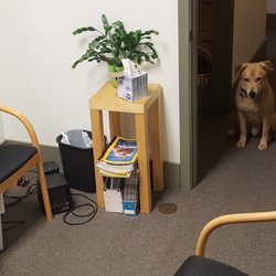 True North Counseling