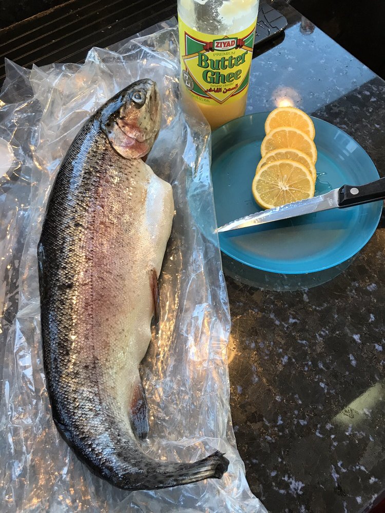 CEDARBROOK TROUT FARM 41 Photos 1543 Lakeshore Dr, Harrisville, MI