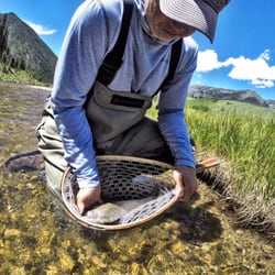 Arrick's Fly Shop