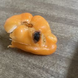 Kroger - Rotten peppers, AGAIN