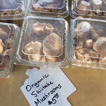 Richfield Farmers Market - a variety of mushrooms - Farmers Market Near Me - Richfield, Minnesota Richfield Farmers Market - a variety of mushrooms - Farmers Market Near Me - Richfield, Minnesota