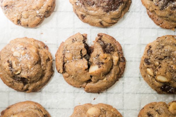 Cookie Fix- The Forum by null