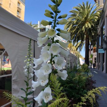 Santana Row - Shopping Centers Near Me - San Jose, California Santana Row - Shopping Centers Near Me - San Jose, California