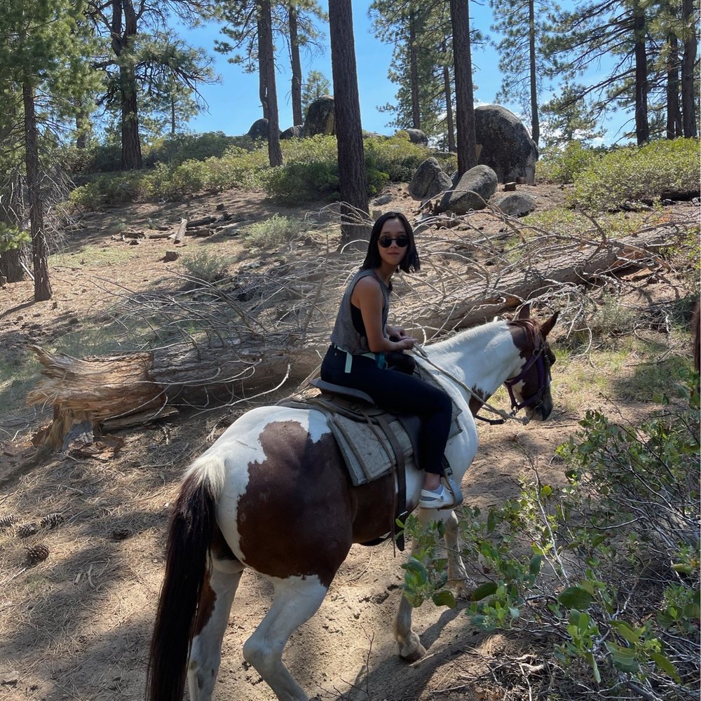 Zephyr Cove Stables - Horseback Riding Near Me - Zephyr Cove, Nevada Zephyr Cove Stables - Horseback Riding Near Me - Zephyr Cove, Nevada