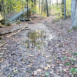 Pinewoods Park - 10/29/2021 - Use the bypass along the side to avoid the mud, but carefully.