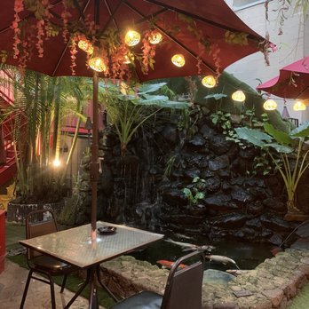Olay's Thai Lao Cuisine - Koi fish pond - Thai Near Me - Honolulu, Hawaii Olay's Thai Lao Cuisine - Koi fish pond - Thai Near Me - Honolulu, Hawaii
