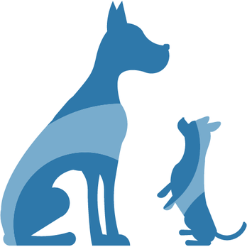 Animal Hospital At Murphy's Corner - Veterinarians Near Me - Everett, Washington Animal Hospital At Murphy's Corner - Veterinarians Near Me - Everett, Washington