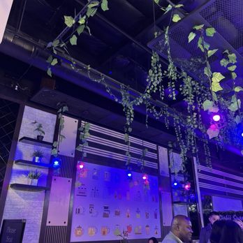 Tea Moment - Bubble Tea Near Me - Fremont, California Tea Moment - Bubble Tea Near Me - Fremont, California
