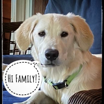 Canine Lake Lodge - Picture message I received from owner while on vacation! - Pet Sitting Near Me - Mound City, Kansas Canine Lake Lodge - Picture message I received from owner while on vacation! - Pet Sitting Near Me - Mound City, Kansas