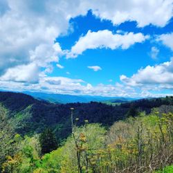 Tennessee North Carolina State Line