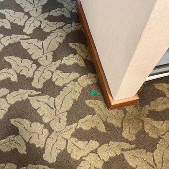 Humphreys Half Moon Inn - Not our feathers! - San Diego, CA