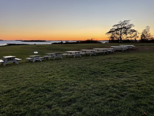 Dolphin Marina & Restaurant by null