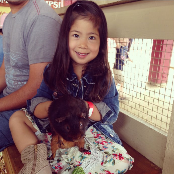 Country Village Preschool & Kindergarten - childcare center in Foothill Ranch, CA