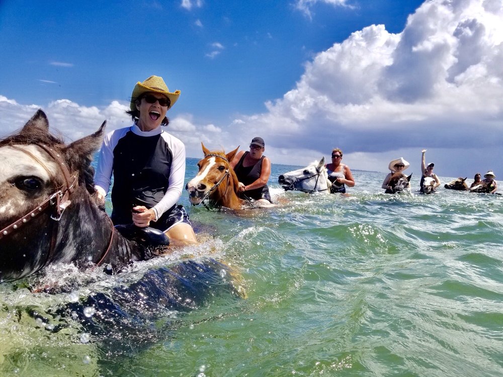 Cypress Breeze Beach Horseback Rides - equestrian in Pinellas Park, FL