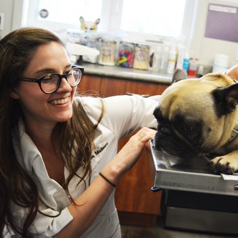 Charleswood Veterinary Clinic - Veterinarians Near Me - Winnipeg, Manitoba Charleswood Veterinary Clinic - Veterinarians Near Me - Winnipeg, Manitoba