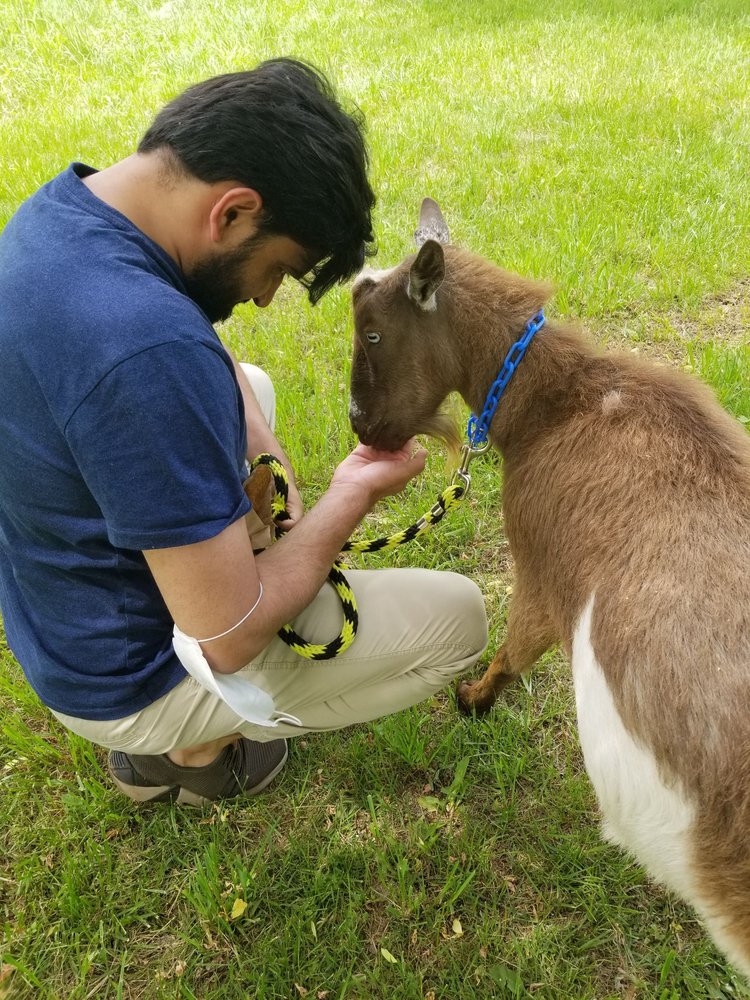 BRADLEY MOUNTAIN FARM 77 Photos & 13 Reviews 537 Shuttle Meadow Rd, Southington, CT Yelp