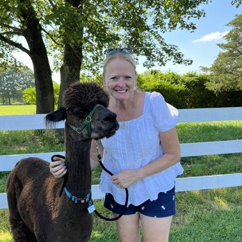 Bluebird Farm Alpacas - Loved our day with the alpacas! - Attraction Farms Near Me - Peapack, New Jersey Bluebird Farm Alpacas - Loved our day with the alpacas! - Attraction Farms Near Me - Peapack, New Jersey