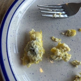 Brew Dog - Green eggs- no ham! - Breweries Near Me - Canal Winchester, Ohio